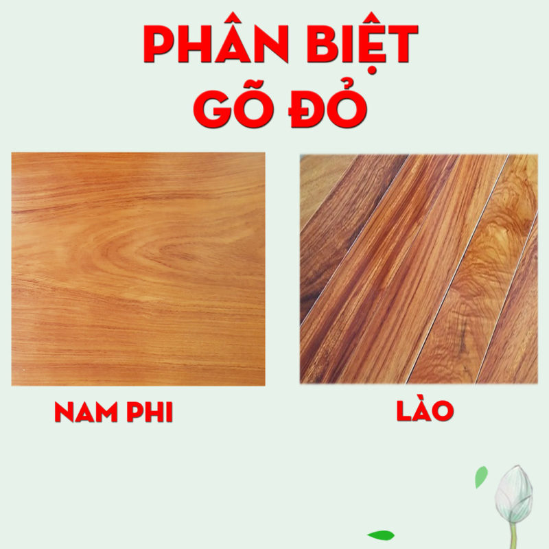 anh nen