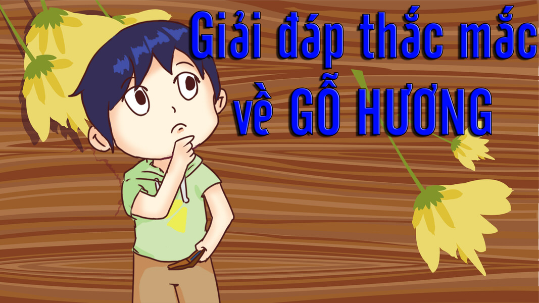 giai dap thac mac go huong