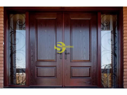 Cửa chính đơn giản CN020