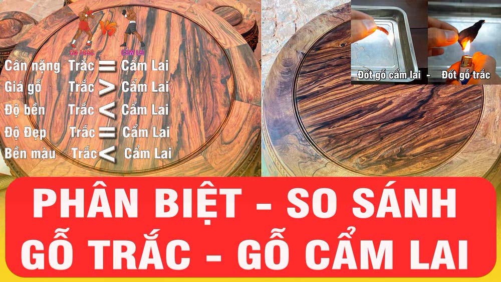 Phân biệt, so sánh Gỗ trắc và gỗ cẩm lai