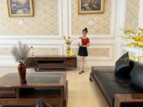 Bộ sofa góc sang trọng gỗ óc chó bọc da bò ý 5 món BBG712