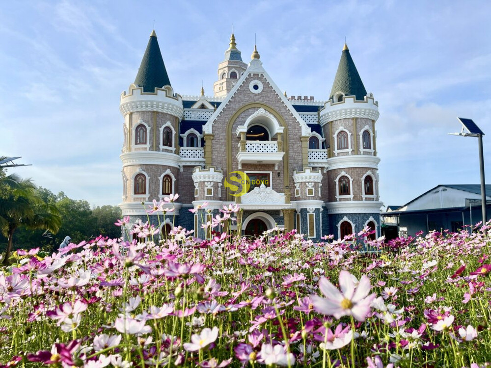 Nội thất sơn đông