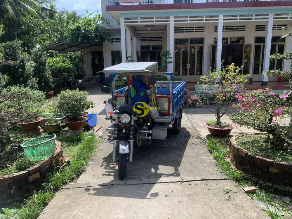 Nội thất sơn đông