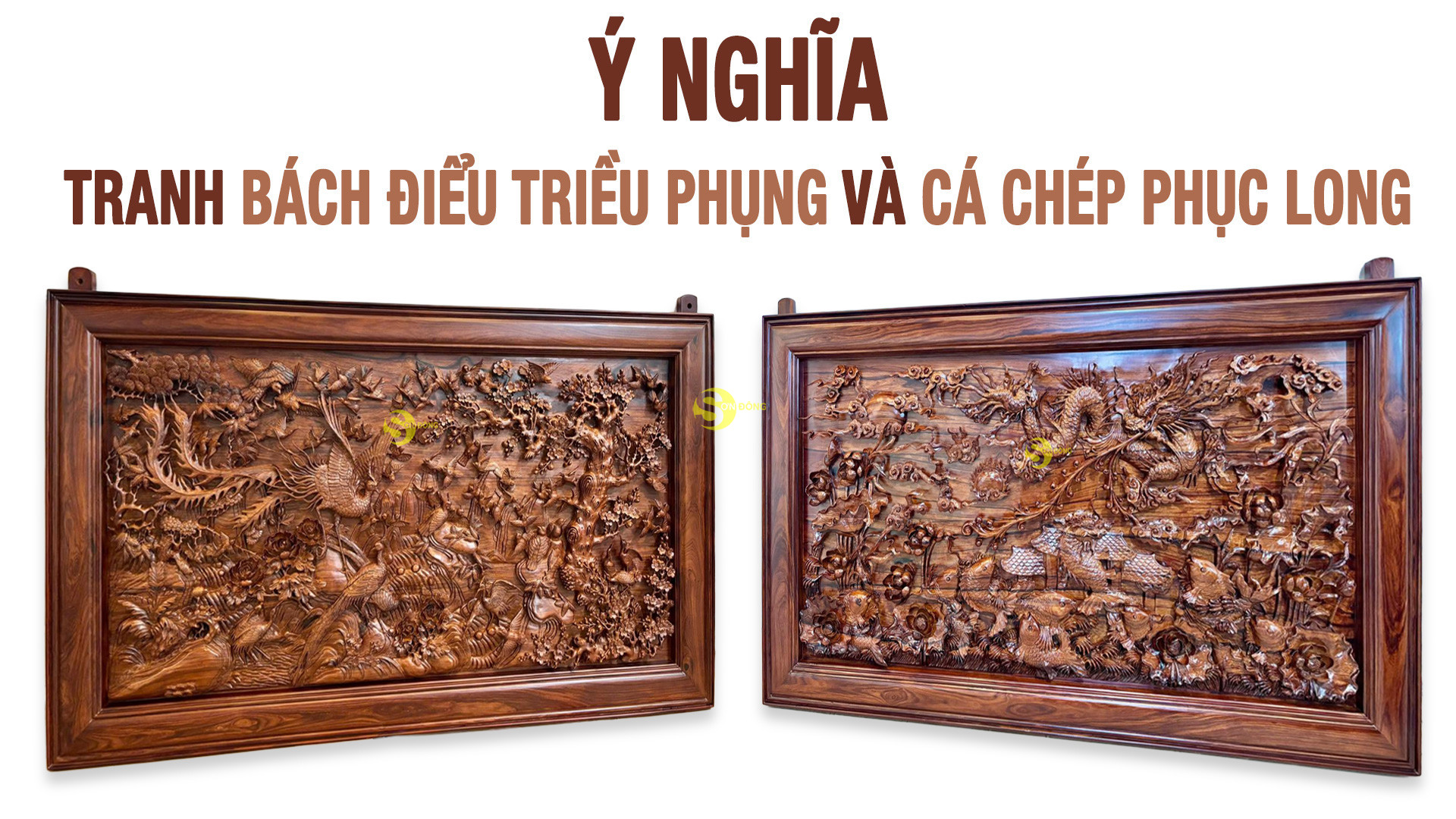 y nghia tranh